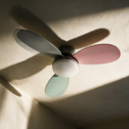 A three-blade flush mount ceiling fan in grey, pink and sage on a plaster ceiling in raking sunlight.
