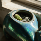 Macro view of the glazed rim of the open planting cavity in the cat's back.