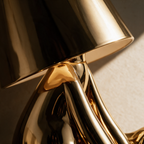 Close-up of the polished figure meeting the cone shade