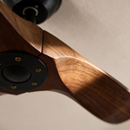 Close-up of a walnut blade where it meets the motor housing
