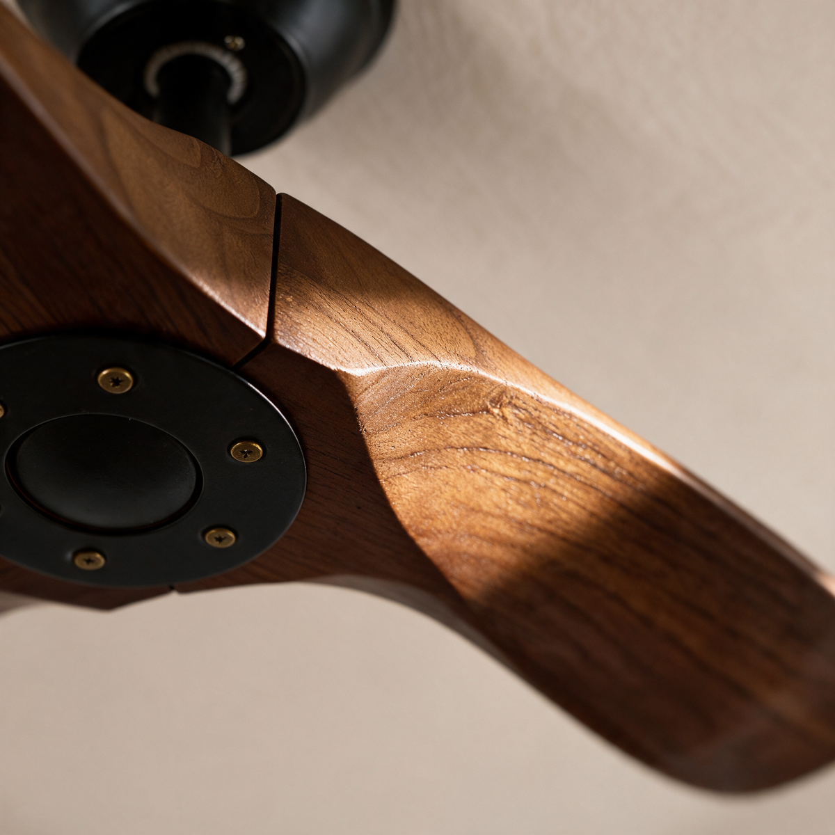 Close-up of a walnut blade where it meets the motor housing
