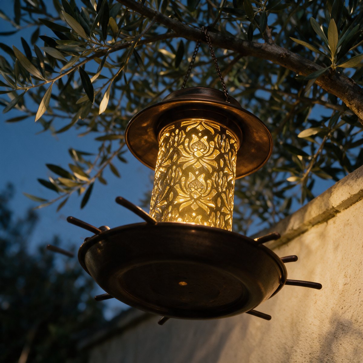 Looking up at the lit lantern hanging from an olive branch against a dusk sky.