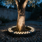 Modular black ring uplight with many upward facing LED lenses encircling a tree trunk at dusk