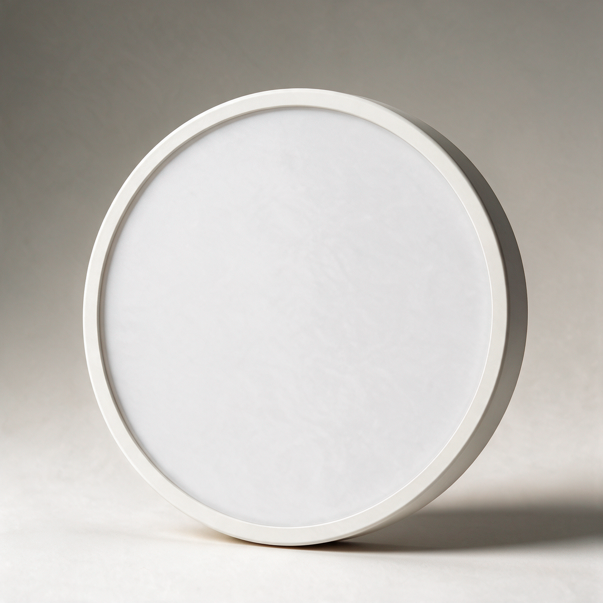 Slate Round LED Ceiling Disc — Eight Colours — White